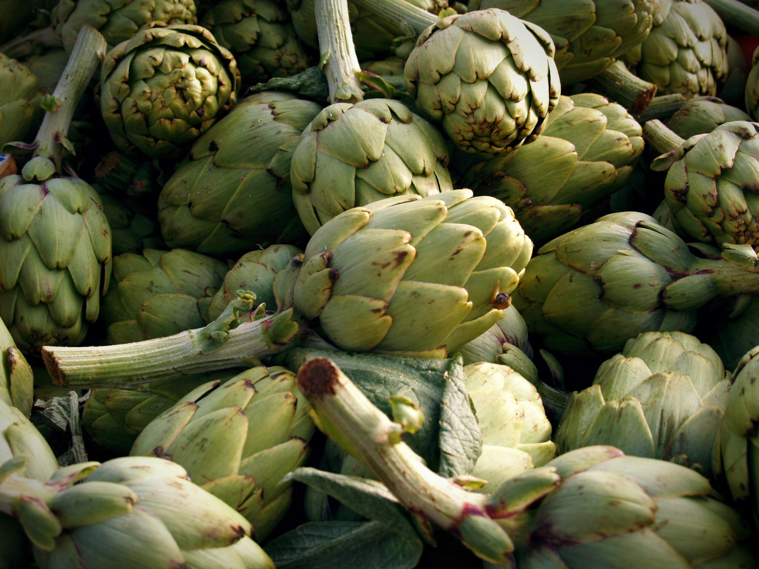 kiszone karczochy jak zrobić przepis i właściwości